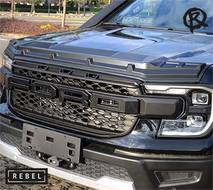 Scratch protector Ranger